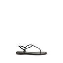 Giuseppe Zanotti